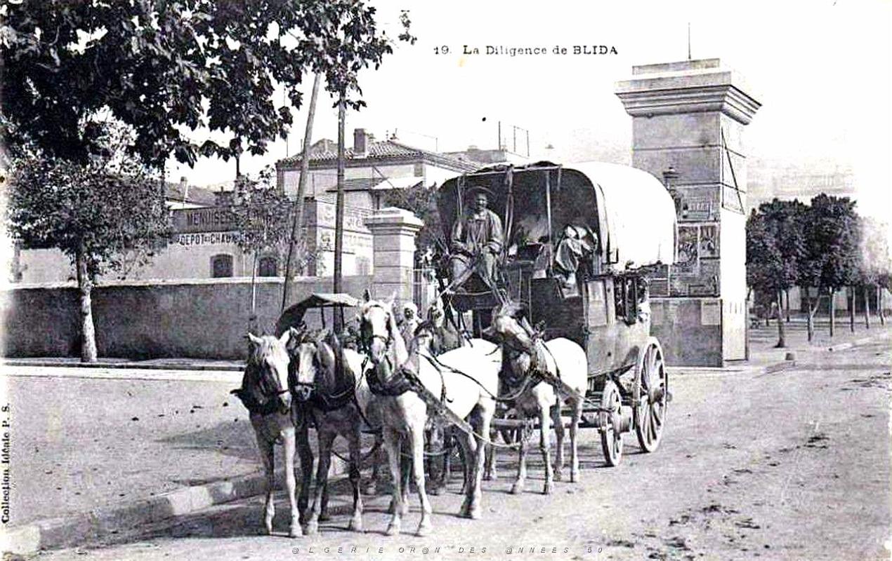 Blida 03.jpg